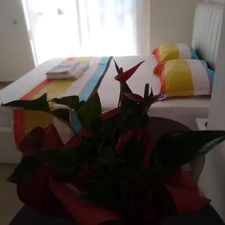 Arli Eris Rent Pensionat Vlorë