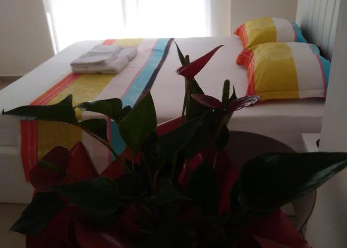 Arli Eris Rent Maison d'hôtes Vlorë